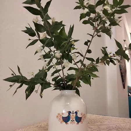 招待所 Il Mirto 2.0